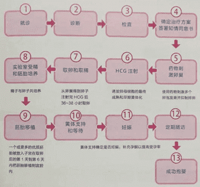 试管婴儿流程详细