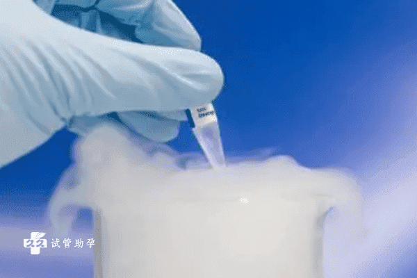  试管婴儿促排长方案是什么？有什么作用？