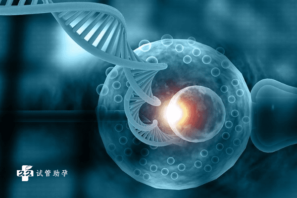  胎儿染色体平衡异位有没有什么治疗方法？