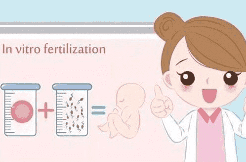  天津三代试管婴儿包生男孩需要多少钱？