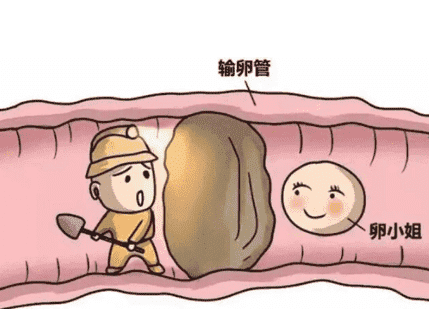 输卵管堵塞中药可以调理吗,输卵管堵塞治疗方法是什么