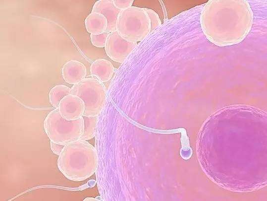 精子密度:男性生殖能力的重要指标