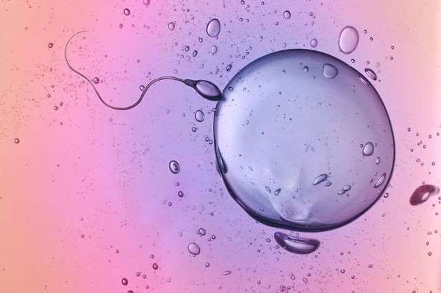 快速补回精子,如何维持男性健康?