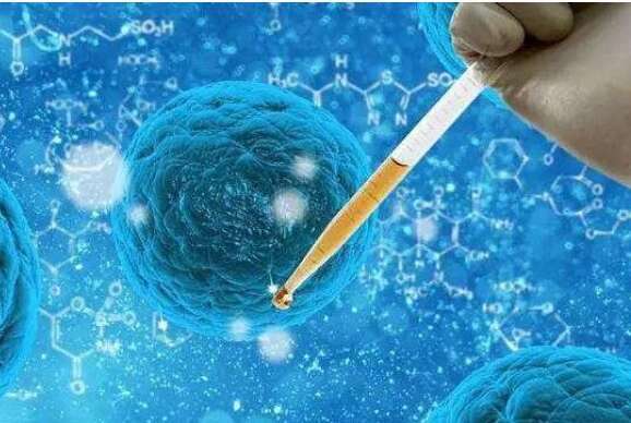 哪些因素影响试管婴儿移植的成功？这几种一定要注意，这样做才对！
