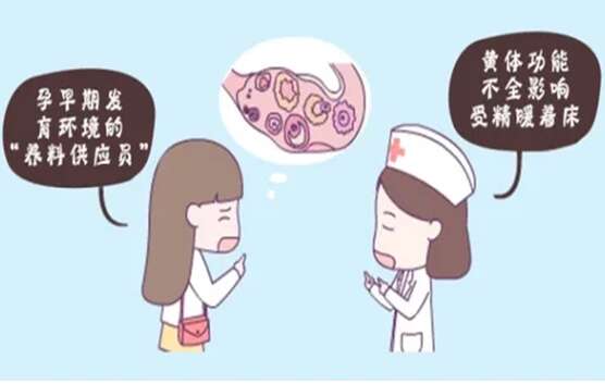 试管移植影响胚胎着床的因素