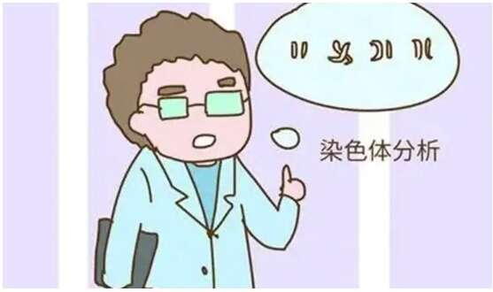 试管前染色体检查时间