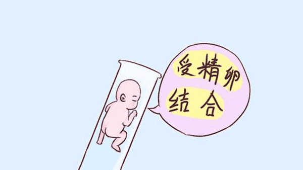 试管婴儿移植后的饮食护理，让你快速恢复