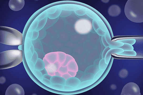 试管移植5AB囊胚成功，科学实现夫妻梦想