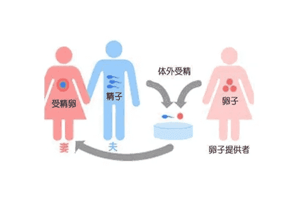 国外试管婴儿费用详情,让你做好预算