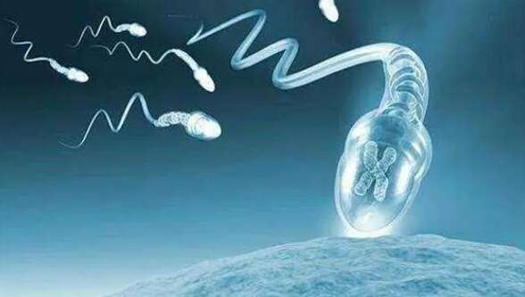 试管婴儿Y精子分离术