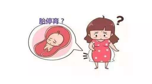 试管婴儿移植成功后，胎停有何影响？