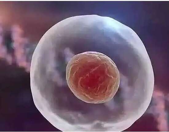 输卵管积水能做试管婴儿吗