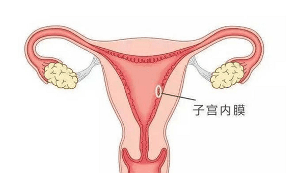 试管婴儿子宫内膜要求分析，其重要性不言而喻
