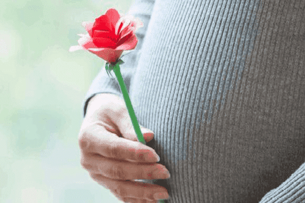 孕妇能否吃花菇：健康攸关