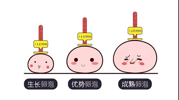 调理卵泡中药西药之争，选择合适更关键
