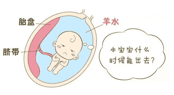 认识33周慢性漏羊水症状,维护羊只健康