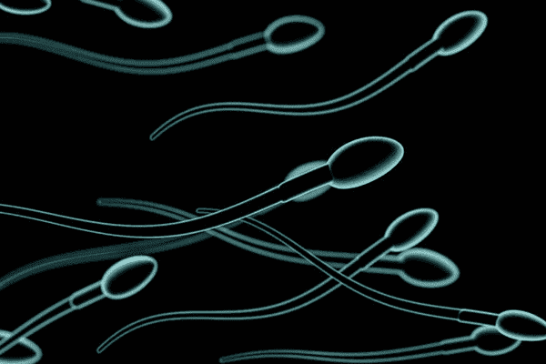 精子活力低怎么调理,4招助你提高精子活力