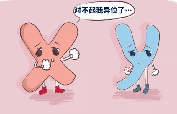 31岁女性染色体异常做试管能成功吗？