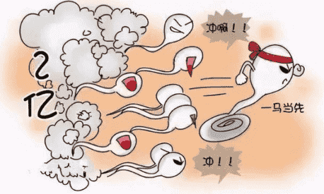 少精症的检查方法有哪些呢?