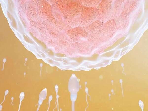子宫内膜不好应该怎么办？还能做试管吗