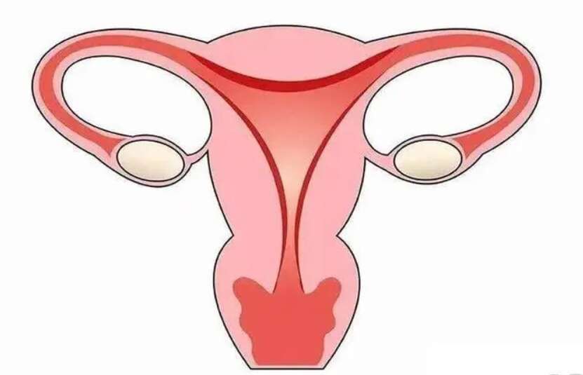 导致女性宫颈息肉的原因是什么？该如何治疗？