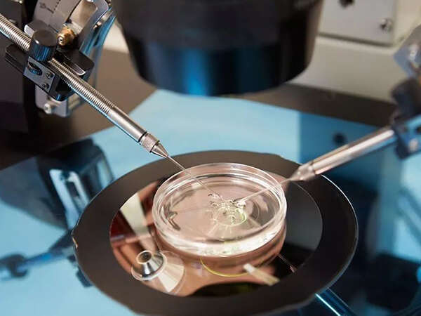 多囊卵巢综合症适合人工周期移植合