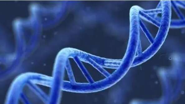 试管三代pgs筛查风险解读，分析y染色体嵌合体囊胚形成的原因