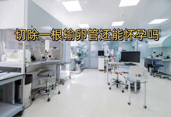 切除一根输卵管还能怀孕吗