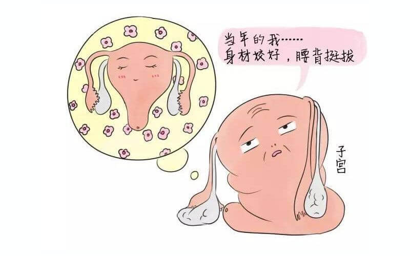 产后子宫底下降速度有规律，每天降多少提前释疑