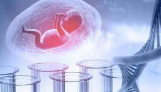 疤痕子宫能做试管婴儿吗，教你选择适合的试管方案