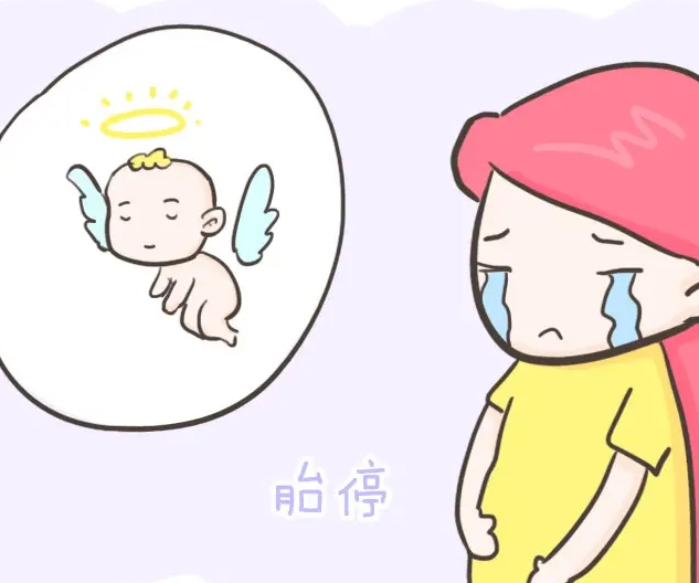 做试管婴儿什么情况下容易胎停？