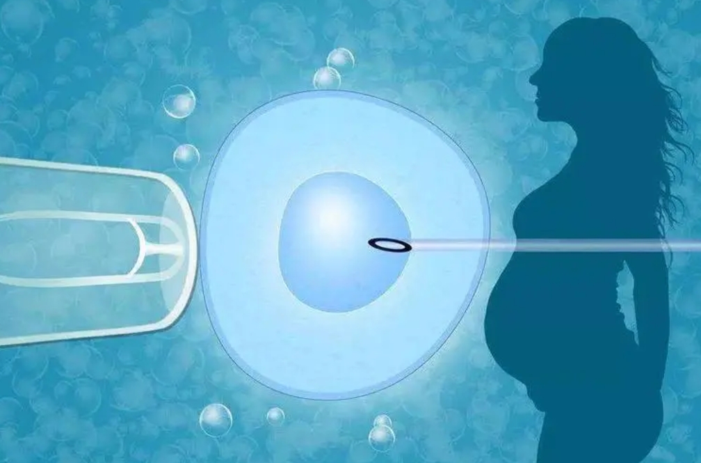 武汉同济医院做试管费用多少？2024武汉最新试管价格公布