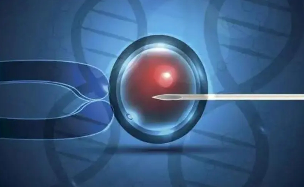 做试管婴儿打夜针前后的注意事项是什么？