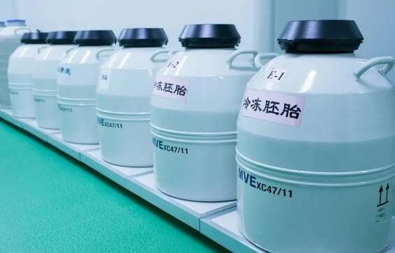 试管冷冻囊胚可以做三代试管活检吗?胚胎活检的具体方法