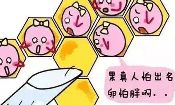 试管卵泡左侧偏小右侧已成熟因荷尔蒙不同步?	