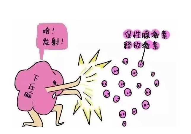 试管婴儿微刺激方案怎么样	