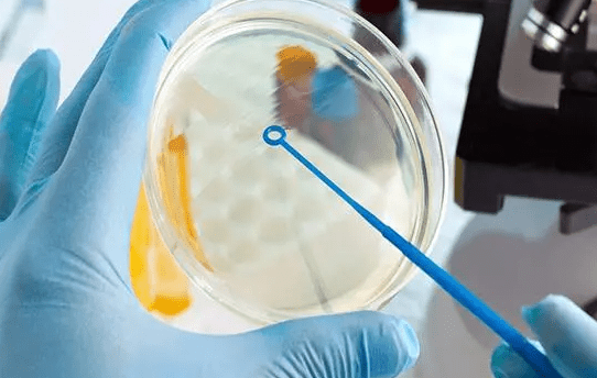 单角子宫女性做三代试管着床困难一般移植几个胚胎比较好?	