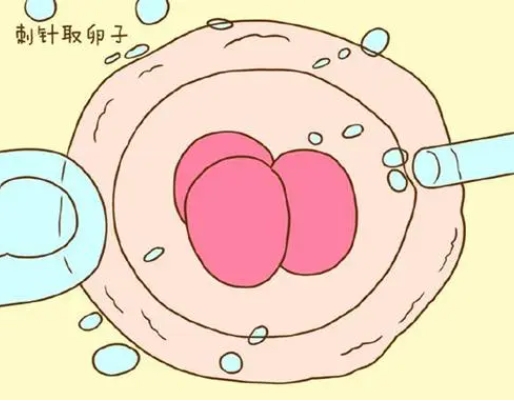 做试管老公戒不掉烟能否成功？受精卵质量差试管易失败	