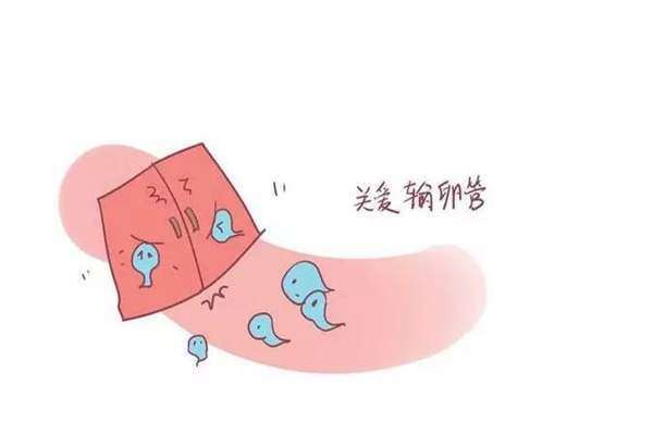 左侧输卵管粘连试管婴儿短方案促排取不到卵是什么原因？