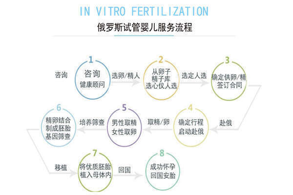 去俄罗斯做试管婴儿有哪些步骤？