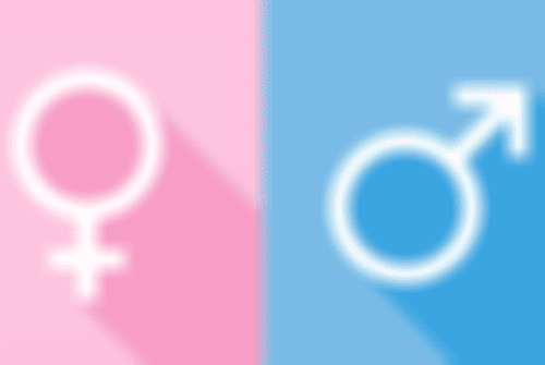 19.png