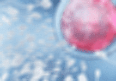 7.png