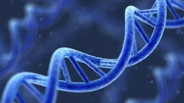 试管 22 天孕吐突然消失正常吗？