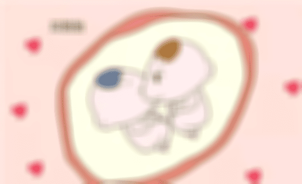 珠海做试管婴儿生一对龙凤胎多少钱？是否可以分期付款？