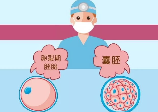 试管婴儿融合胚胎是什么，技术优势与流程详解