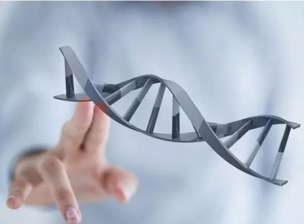 打降调针后多久能移植冷冻囊胚？合适的子宫内膜厚度也很重要