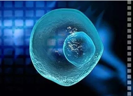 穿刺取精后可以做人工授精和试管婴儿吗？