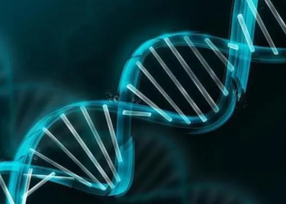 单腔与双腔取卵针：区别与适用情况详解