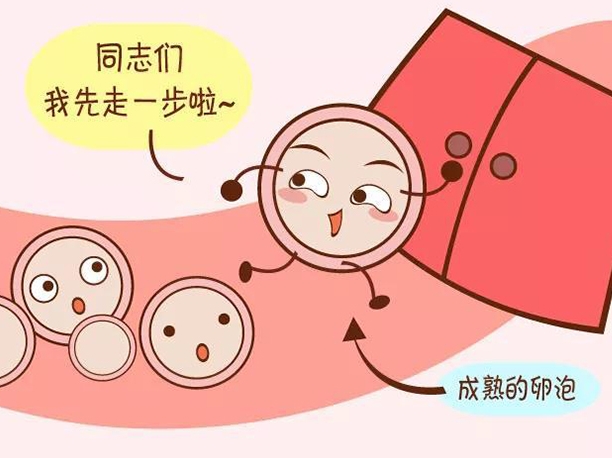 试管婴儿检查全知道：这些项目女性必做