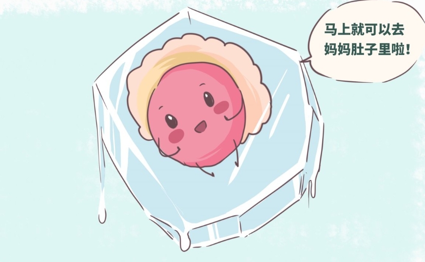 试管婴儿短方案步骤解析：各阶段一目了然